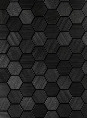 Luxpanele do sauny Hexa S Black