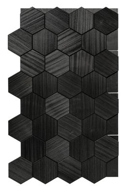 Luxpanels for sauna Hexa XL Black