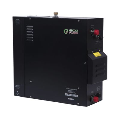 Steam generator EcoFlame KSA90 9 kW + remote controller KS 150